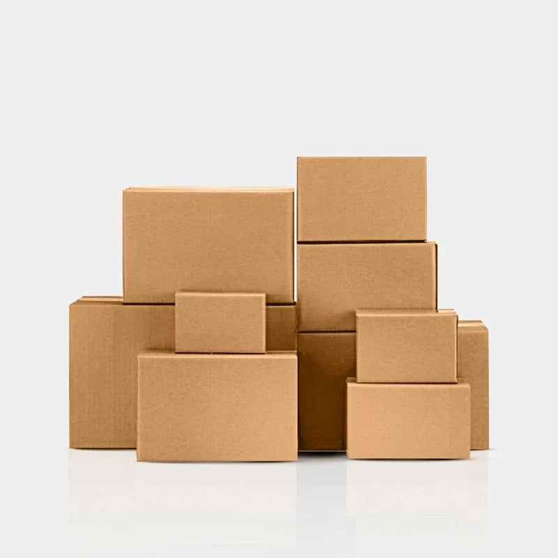 [SG-Packing] Carton Box