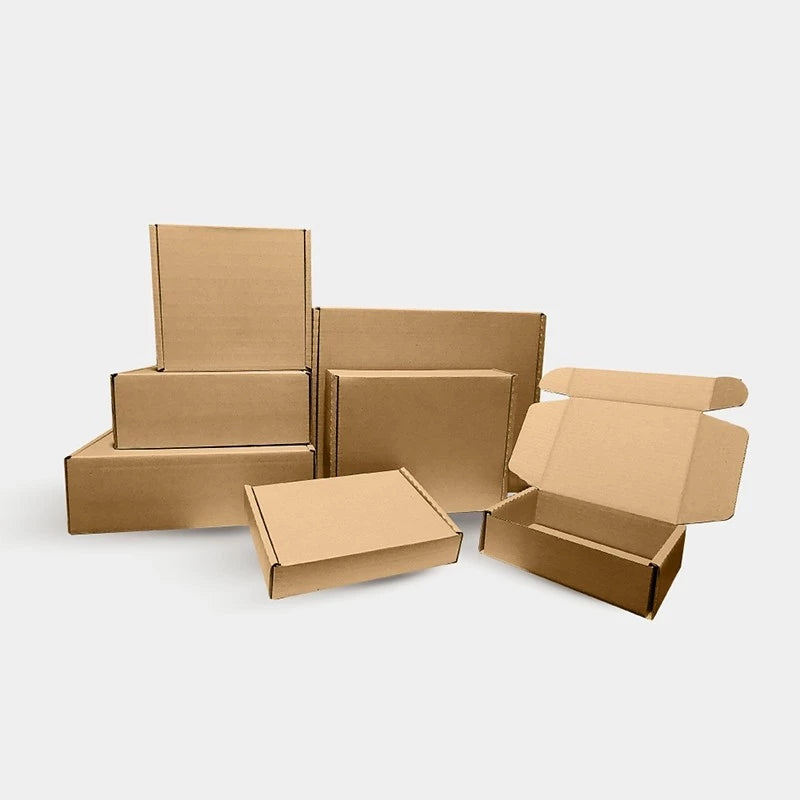 [SG-Packing] Carton Box