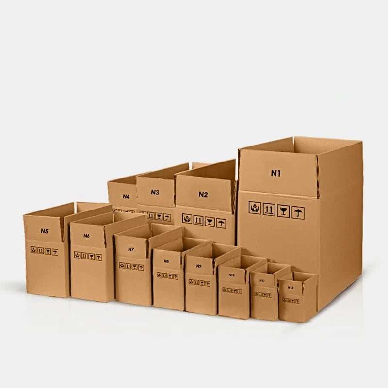 [SG-Packing] Carton Box