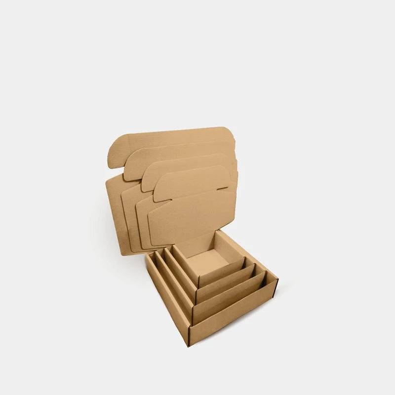 [SG-Packing] Carton Box
