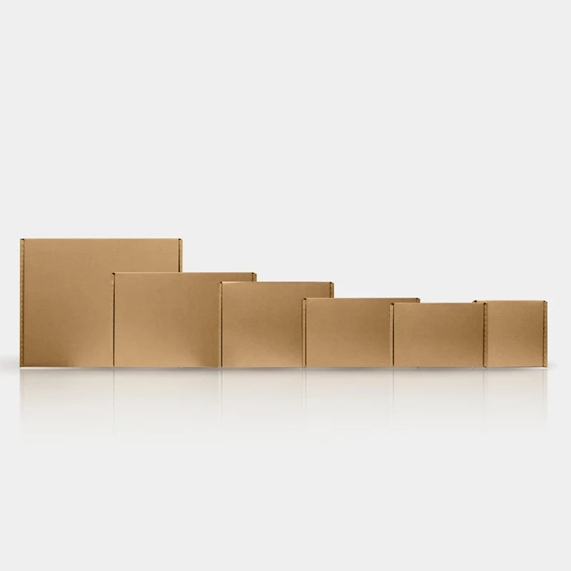 [SG-Packing] Carton Box
