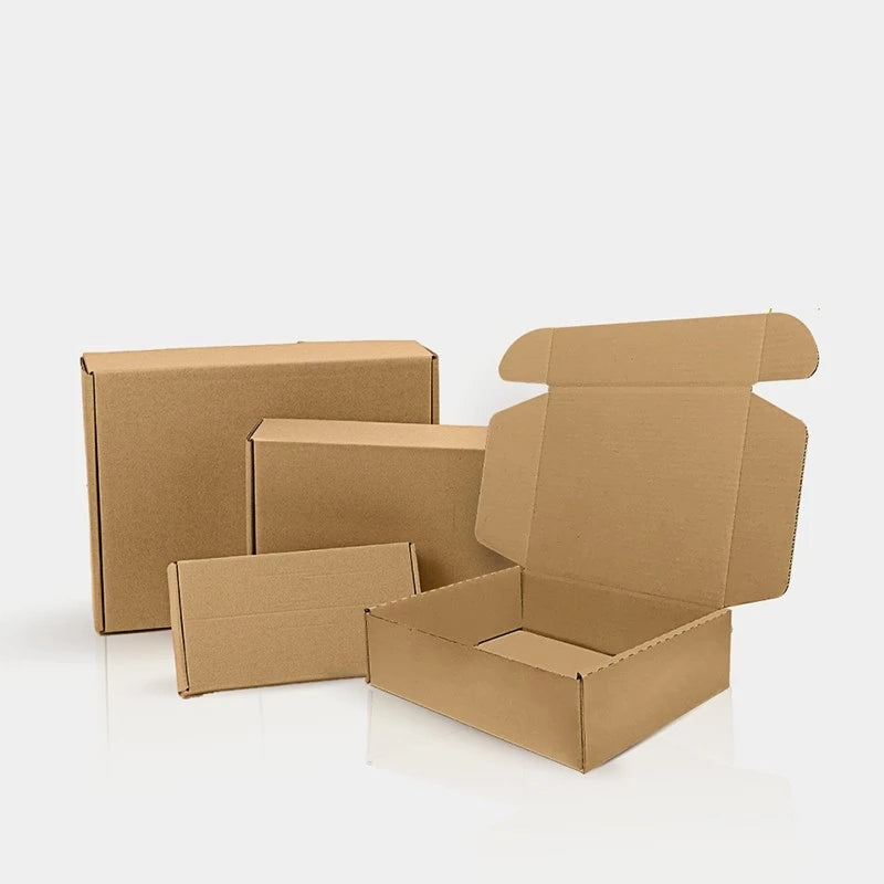 [SG-Packing] Carton Box