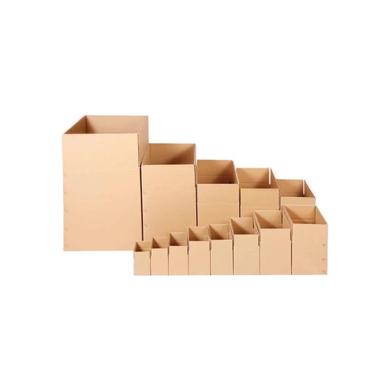 [SG-Packing] Carton Box